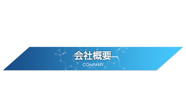 会社概要